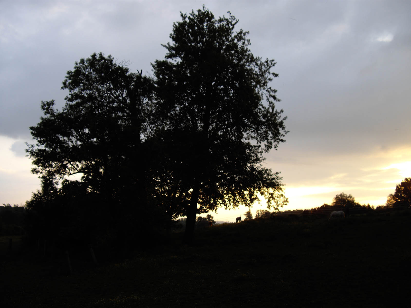 L'ombre s'endort